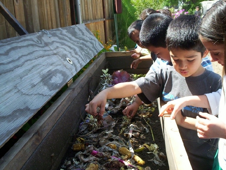Kids And Composting Bin