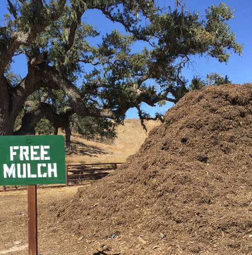 Free Mulch Pile