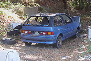 Picture of Abandoned Car and Illegal Dump Site by Eddie Ando