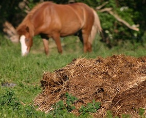 Ag Waste, photo by Malene Thyssen, http://commons.wikimedia.org/wiki/User:Malene